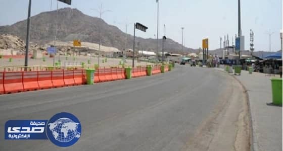 الإصحاح البيئي ترش 125 لتر مبيدات في عرفات ومزدلفة خلال يومين