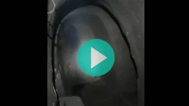 رجل يعثر على مغارة مظلمة وخفافيش أسفل منزله