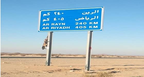 بالصور .. حيوان بري متعفن معلق على لوحة طريق " الرين "