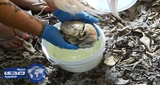 بالفيديو.. بكاء سيدة أثناء دفن قلبها