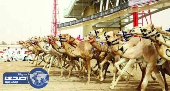 إعلان تأسيس الاتحاد الدولي لسباقات الهجن بمشاركة دول أوربية وعربية وخليجية