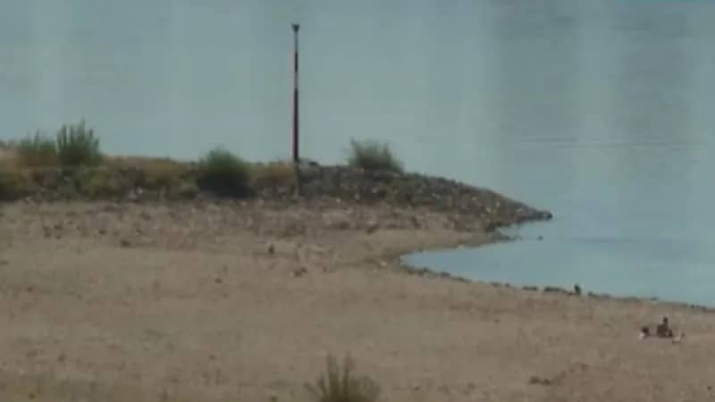 موجة جفاف كبيرة تضرب أوروبا وتسبب أزمة في الإنتاج (فيديو)