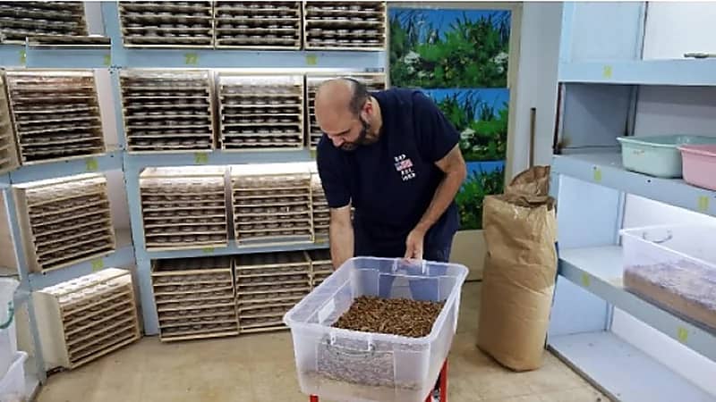 بالصور.. رجل أعمال يفتتح أول مطعم لتقديم الديدان