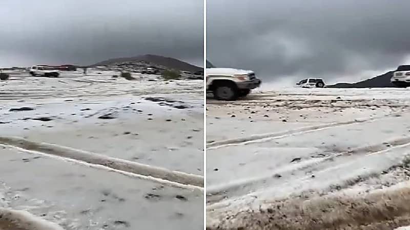 مشهد لبردية جبل اللوز في تبوك .. فيديو