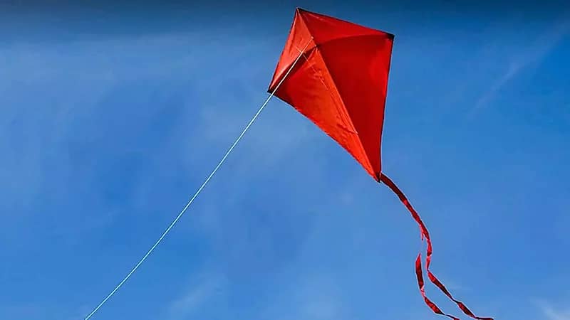 طائرة ورقية تتسبب في مقتل شاب بمصر