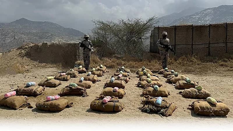 إحباط تهريب 300 كلجم من نبات القات المخدر بجازان