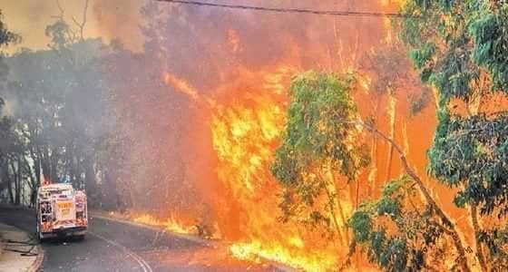 طائر وراء حريق هائل قرب كانبرا