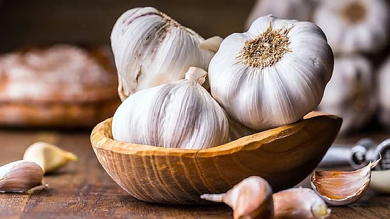 فوائد عديدة للثوم ..يعالج حب الشباب وقشرة الرأس