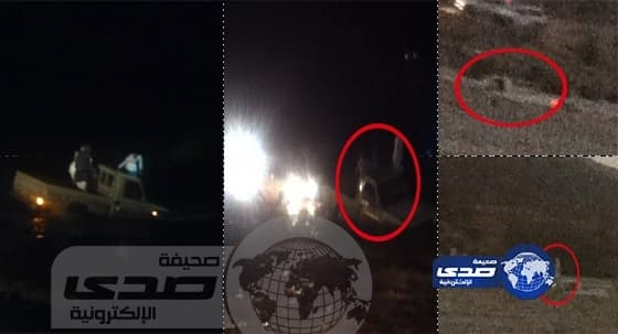 "الدرباويه" و "هاجس الاستعراض" تغرق سيارتين بالطائف .. والعناية الإلهية تنقذهم