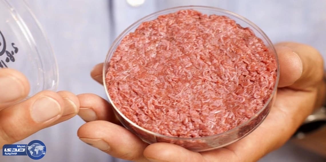 لحوم نباتية في مختبرات أمريكية