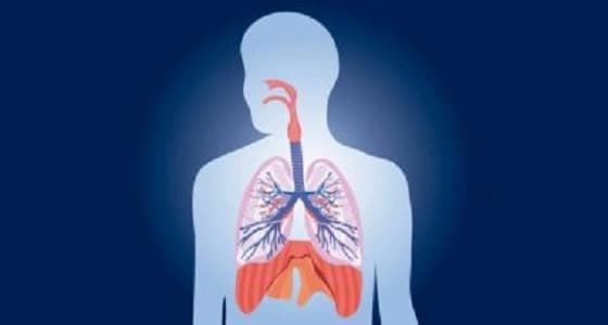 وظائف القصبة الهوائية في جسم الإنسان