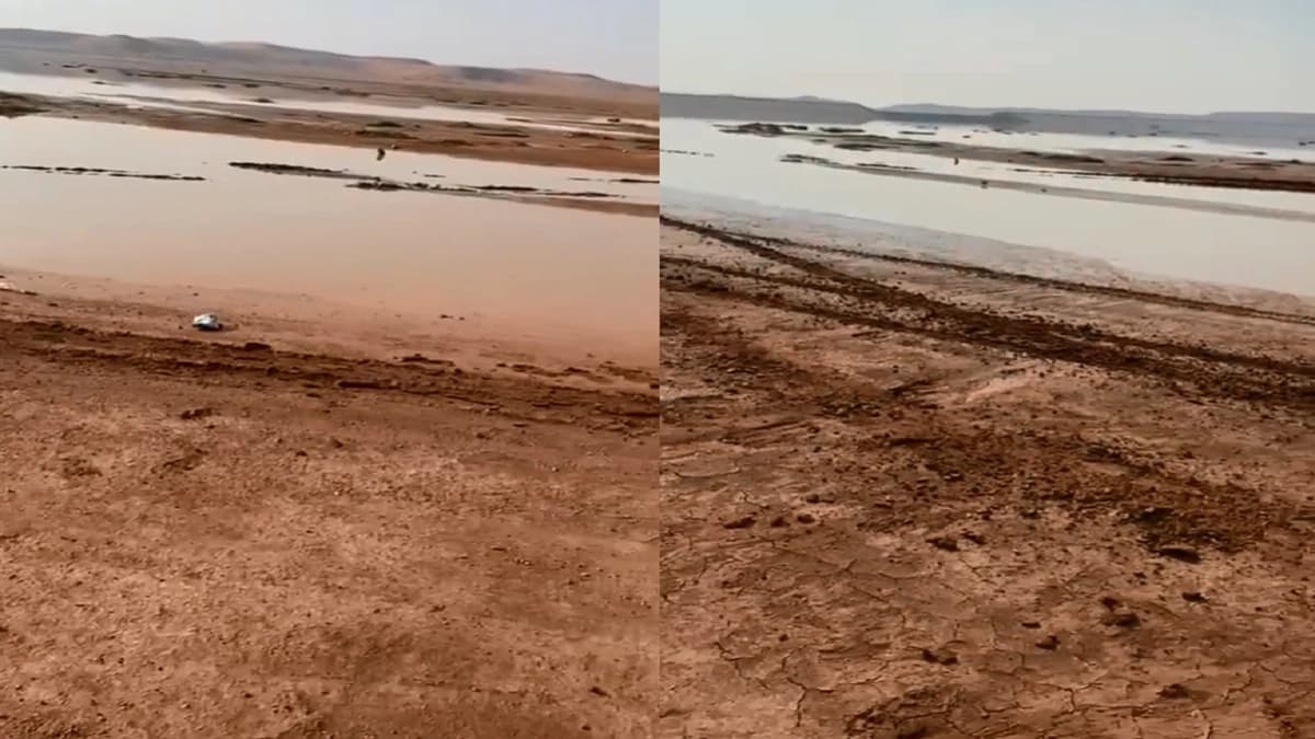 بالفيديو.. بلطجية يذبحون شاب قبل زفافه بسبب خاتم فضة