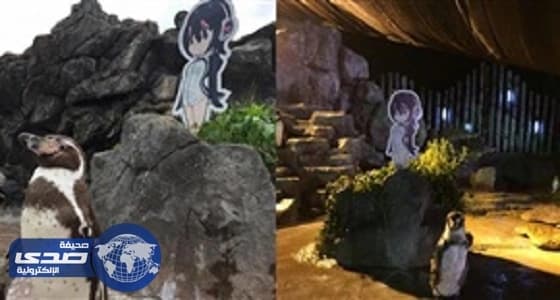 وفاة بطريق بجوار صورة كرتونية وقع في حبها لمدة 20 عاما