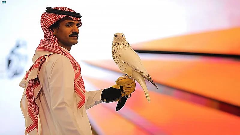بيع أغلى صقر "جير" في العالم بمليون وسبع مئة وخمسين ألف ريال