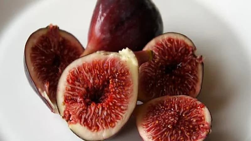 دراسة : فاكهة التين تحارب السرطان وتحسن السكر