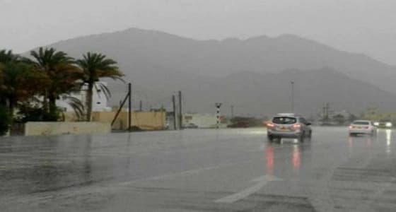 بالفيديو.. حالة الطقس المتوقعة غدًا الأحد
