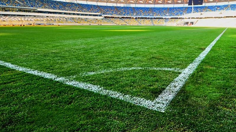 موعد الإعلان عن الشركات الفائزة بحقوق شراء الأندية السعودية .. فيديو