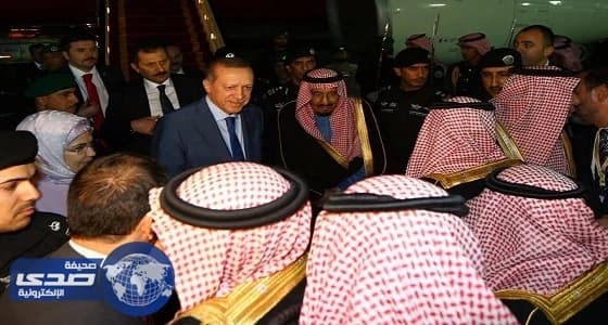 بالصور.. ختام مدهش لشارع الفن.. دول الخليج تتنافس لنقل فكرته والفنانين يطالبون باستمراره