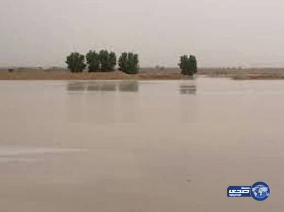 بالصور.. وصول رؤساء غينيا وجامبيا وسيراليون إلى الرياض للمشاركة بالقمة العربية الإسلامية الأمريكية