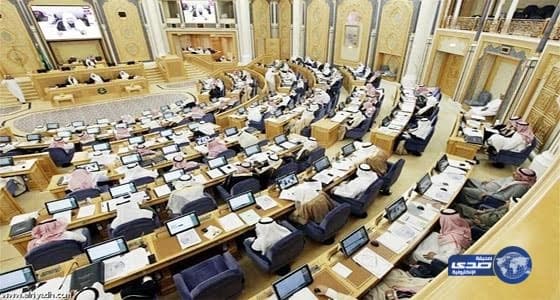 بالصور.. بقرة وُلدت بـ «وجه إنسان» في الهند