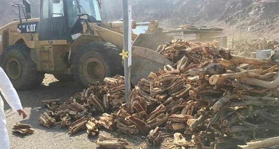 ضبط 20 طنًا من الحطب في أسواق السيح بالخرج
