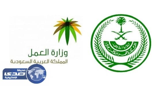 إقرار برنامج جديد يمكن المواطنين من الحصول على فرص عمل