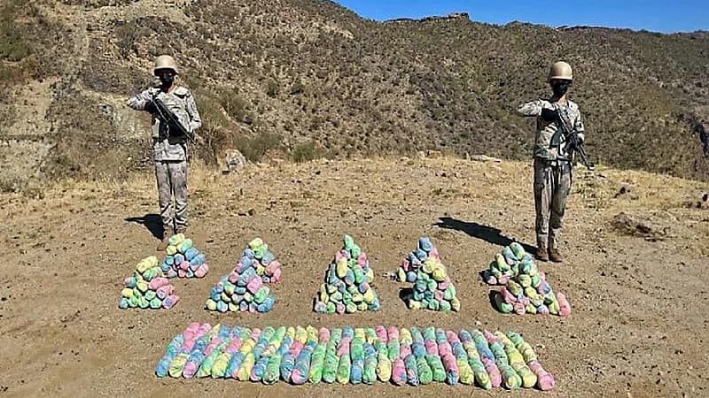 ضبط مخالف لتهريبه نبات القات المخدر بـ سراة عبيدة