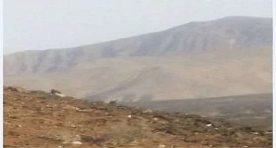 هزة أرضية قوية بأبين اليمنية تؤدي لنفوق الحيوانات