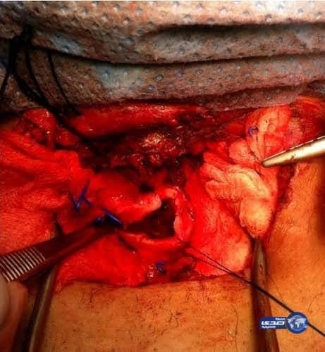 بالفيديو..تصرف إنساني من مواطن تجاه كلب عالق وسط السيل يلقى إشادة كبيرة 