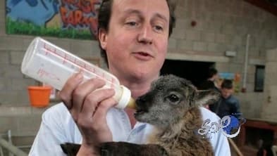 رئيس وزراء بريطانيا يغوص في الوحل لإنقاذ نعجة من الغرق