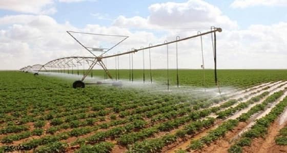 انطلاق فعاليات اليوم الحقلي الإرشادي في حائل