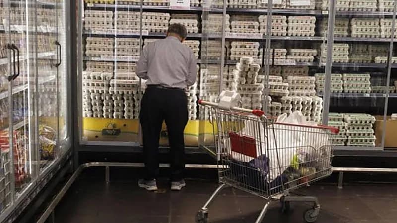 سرقة 100 ألف بيضة في ولاية أمريكية والسلطات تحقق