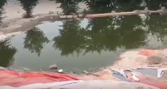 بالفيديو..فاعل خير ينشيء بحيرة ويضع الطعام للطيور المهاجرة في الصحراء