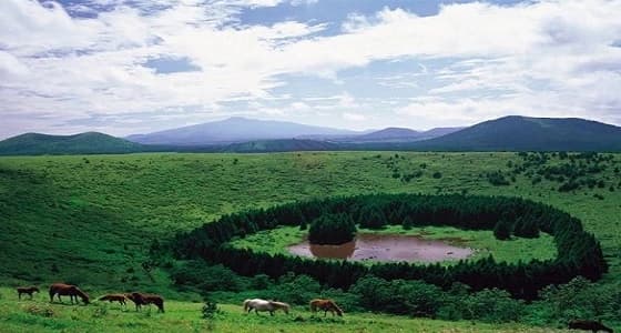 بالصور.. تعرف على أجمل مسار جوي في العالم