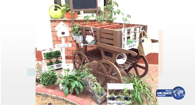 بالصور.. جدة تشهد عروض الفلاي بورد المثيرة في العيد السعيد