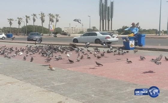 القبض على شاب تركي طعن جيرانه المصريين بسبب مباراة الفراعنة والسنغال