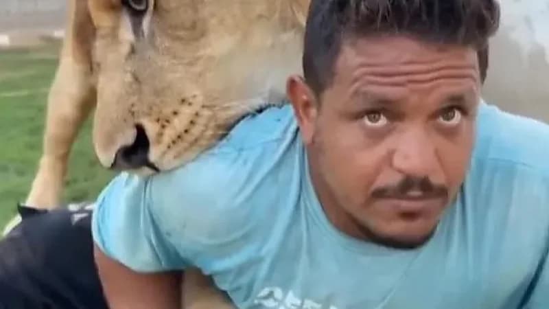 القبض على صاحب مزرعة أطلق أسده على عامل مصري