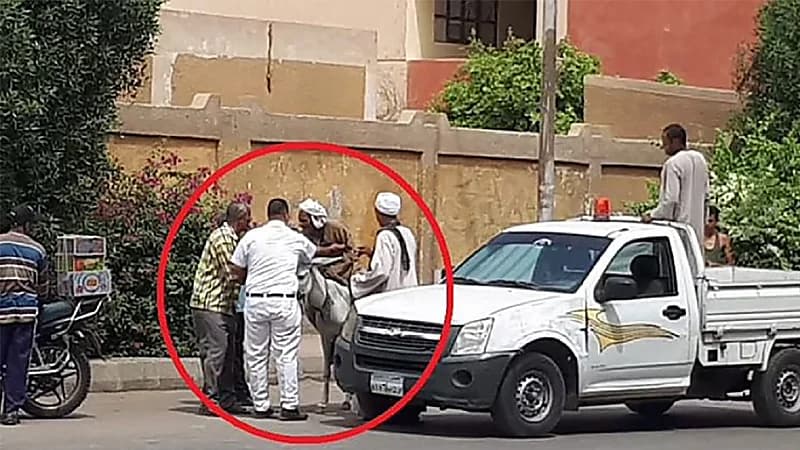 توقيف حمار وصاحبه في مصر لسبب غريب