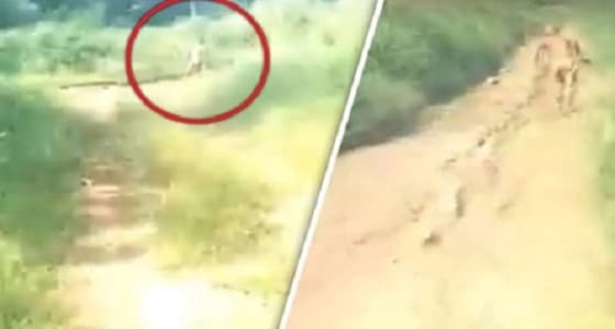 بالفيديو.. مخلوق غريب بسمات بشرية يثير الرعب في إندونيسيا