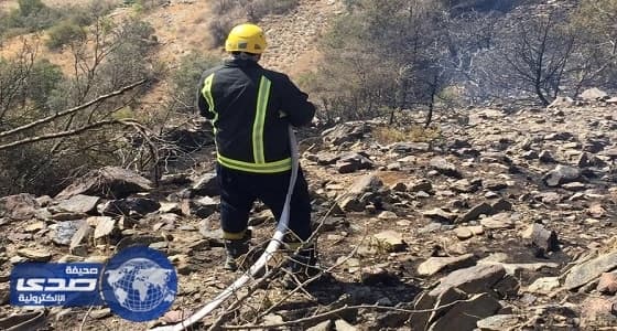 بالصور.. مدني الطائف يسيطر علي حريق استمر 5 ساعات في أشجار جبال قريع