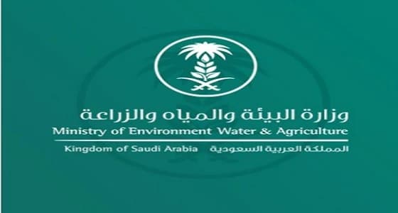 " البيئة " توضح حقيقة فرض رسوم على النخيل والمواشي