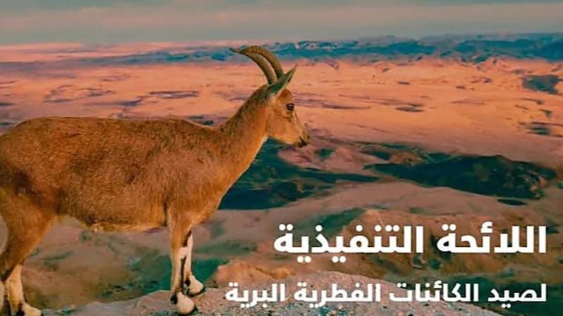 "الحياة الفطرية" تكشف أنواع الحيوانات التي يحظر صيدها بشكل دائم في المملكة