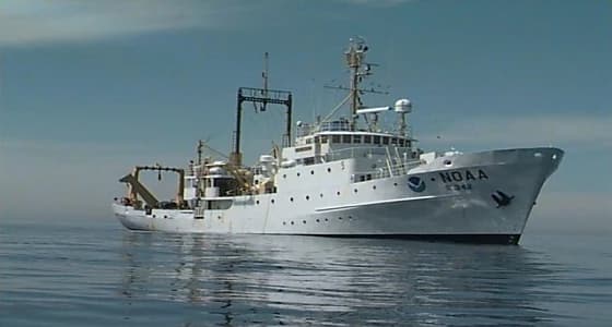 تحذير دولي من مخاطر مليشيات الحوثي الإيرانية على الملاحة البحرية