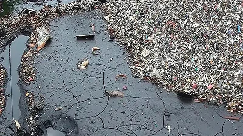 مركز الالتزام البيئي: مليون ريال غرامة عدم الإبلاغ عن تلوث التربة