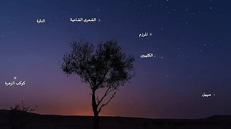 الزعاق: بقي 26 يوماً على سهيل وستبدأ درجات الحرارة بالتحسن من آخر الليل .. فيديو