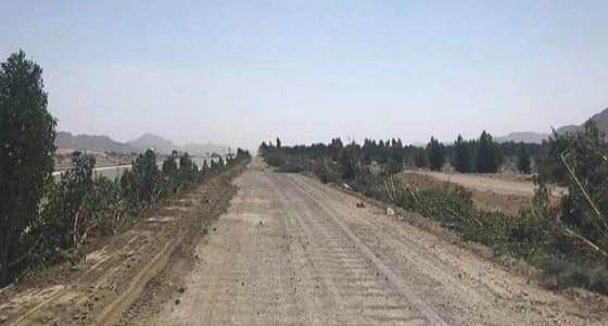 إزالة تعديات بمساحة 20 ألف متر مربع بـ " العكيشية "