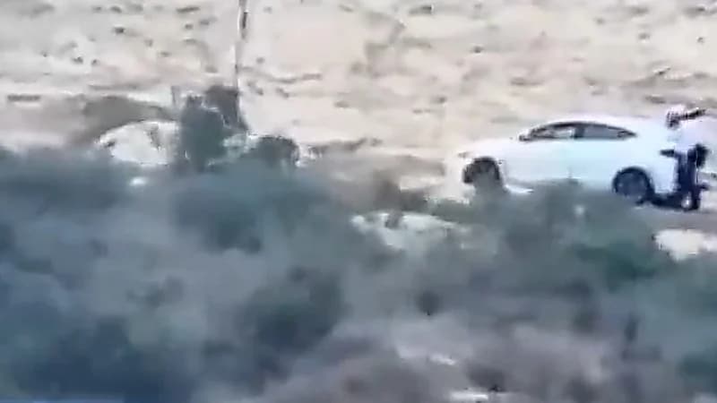 جريمة تهز البصرة لشقيق زوجة مسؤول عراقي قتــل زميلته أمام العدسات.. فيديو