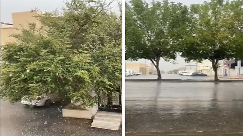 الأهلي يدعم لاعبيه بمكافآت ويجدد الثقة في "هاسي"