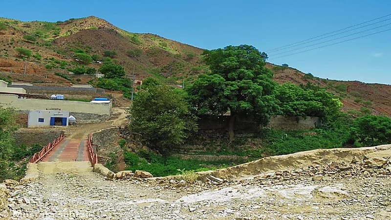 مواطن يبني جسرًا معلقًا فوق مجرى سيل بجازان