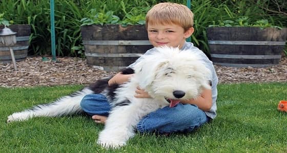 دراسات: تربية الحيوانات تحسن من الصحة النفسية والعقلية